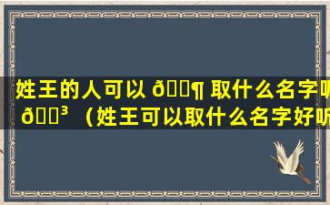 姓王的人可以 🐶 取什么名字呢 🌳 （姓王可以取什么名字好听的名字）